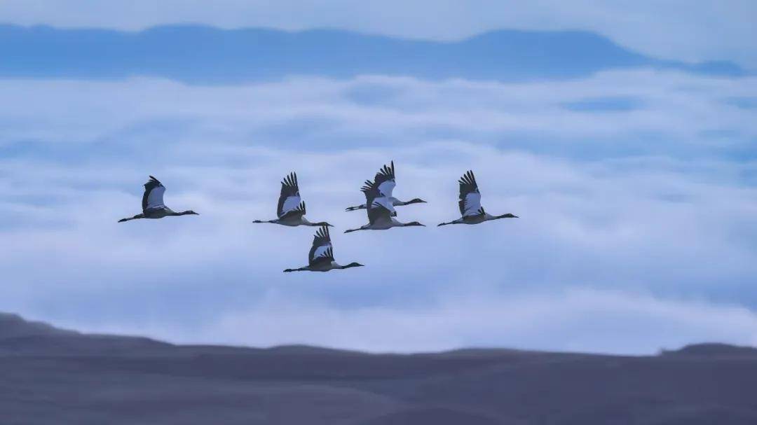 國際旅遊攝影網2026年國內外攝影路線全景指南