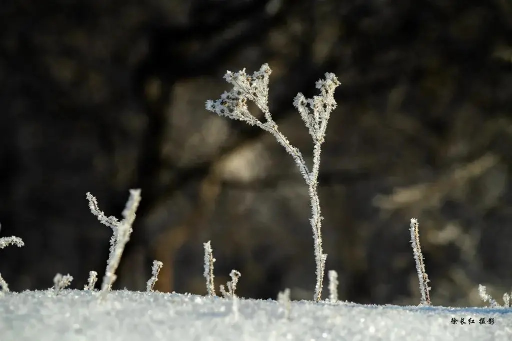 國際旅遊攝影網2026年國內外攝影路線全景指南