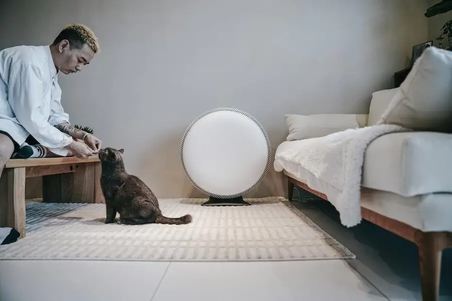 2026裝修空氣清淨機測評：告別唯CADR論與除加甲醛焦慮