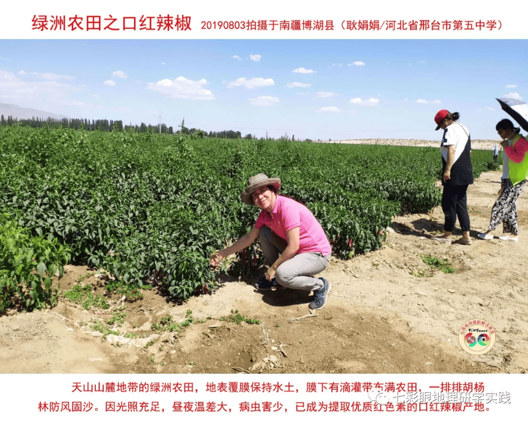 200個地理閱讀和命題的好素材